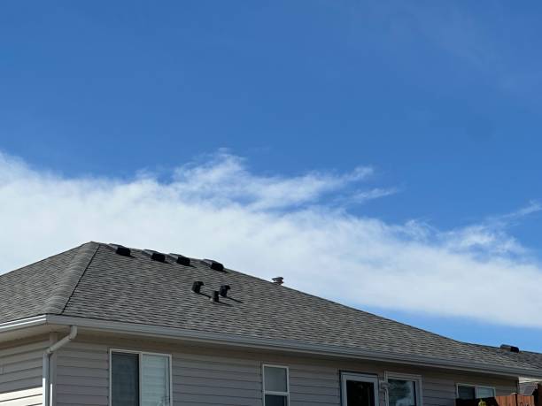 Best Chimney Flashing Repair  in Ray City, GA